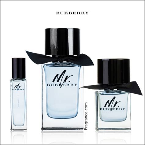 mr burberry cologne review.